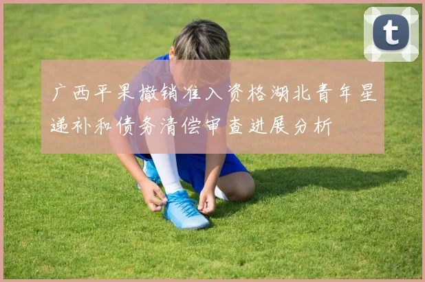 广西平果撤销准入资格湖北青年星递补和债务清偿审查进展分析